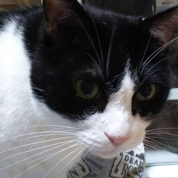 F23bce0c be72 4fc6 a907 fcb428258be8 1567633853364