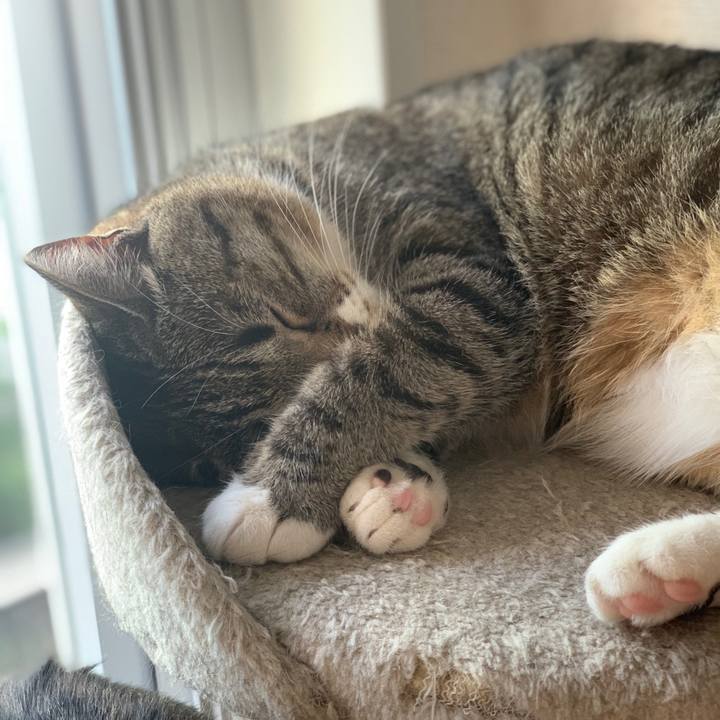 F23bd54b 5066 49fb 961b c03b9d282095 1604927725265