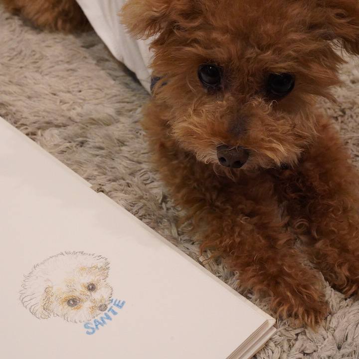 F23bdba9 081d 4cea 97d0 e8e64f525e53 1663769031397