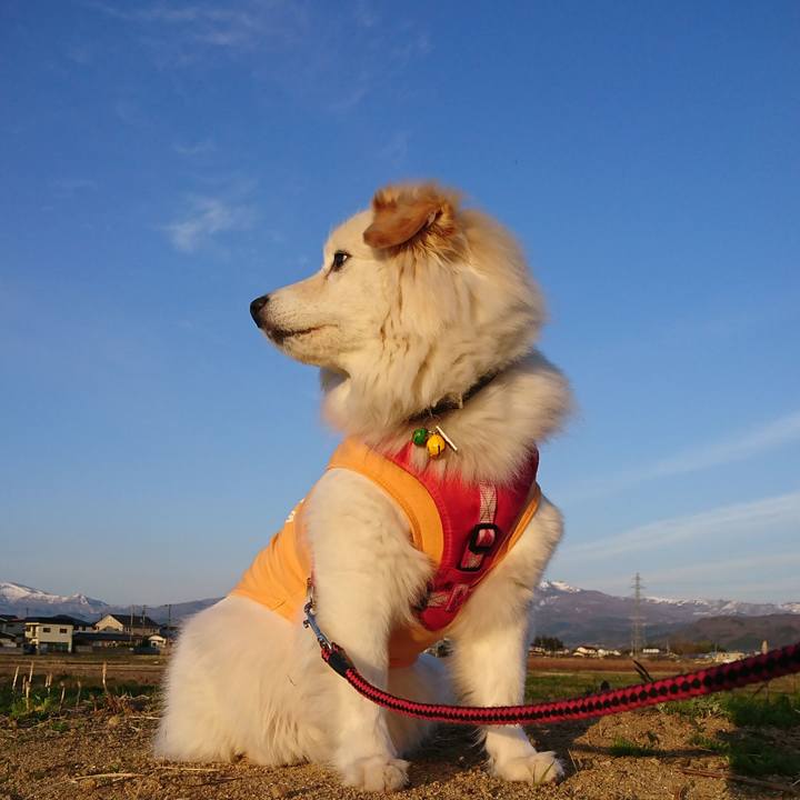 F23c0e86 7430 4474 a96b dd8749d7d699 1523479642722