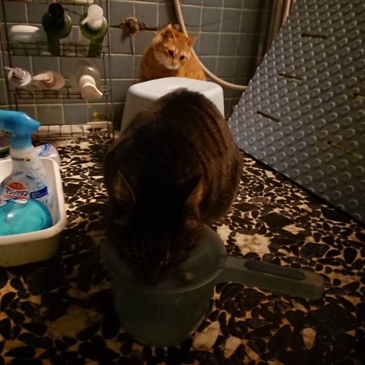 F23c6996 b390 4128 9008 6cea288ed15f 1640511479779