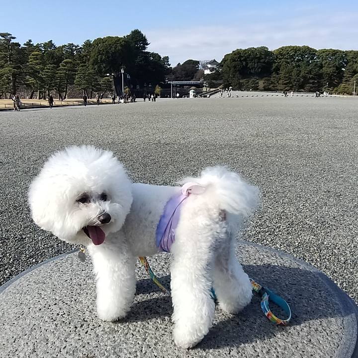 F23c8e5b 6d08 4389 864f ffbb8a85d603 1765670748372