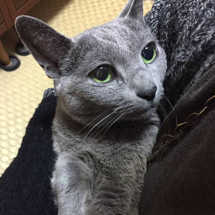 F23cabe3 27e3 4f3e 883a 260d57e6ba9f 1574032232494