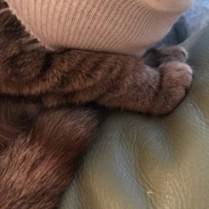 F23cac99 cf35 470a b632 af71941423f7 1581133537703