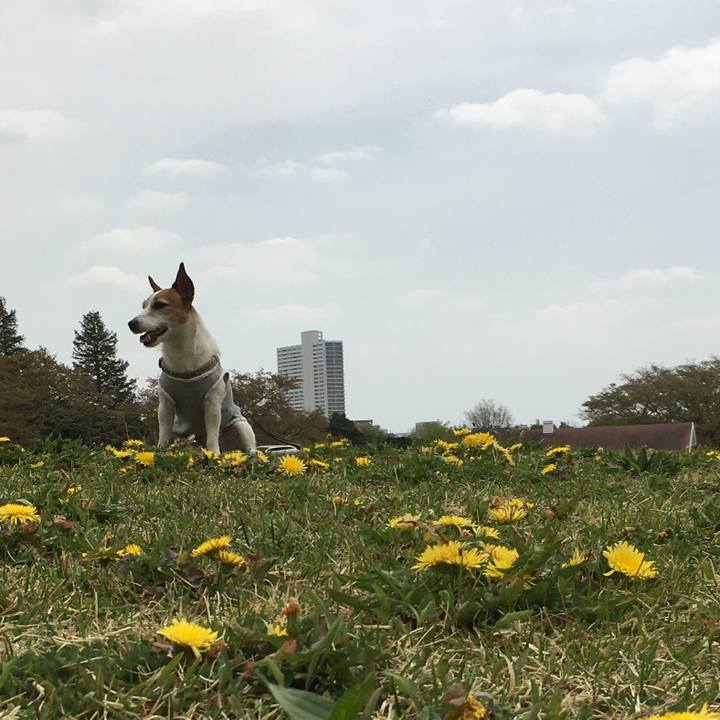 F23cc24e edfd 4b73 a96e 43a466fbf060 1555814260895