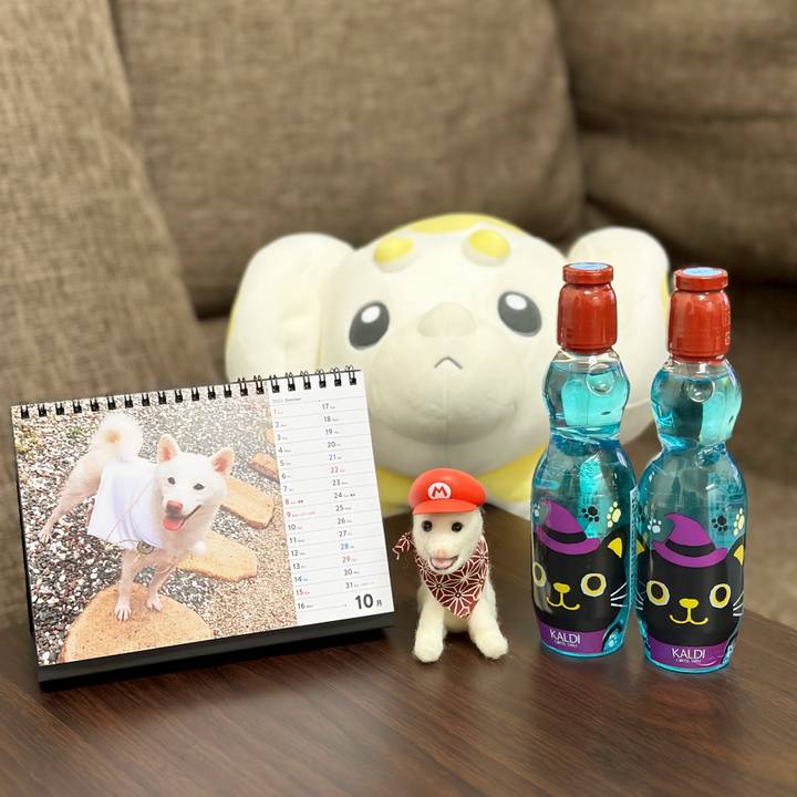 F23cea7b 189b 4ba8 8930 ba2268895375 1698757801957