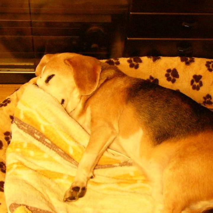 F23d1356 7bf6 42ab ad57 70ebb1be4af8 1661904475677