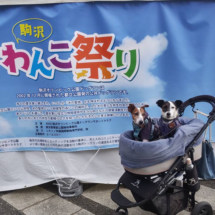 F23d2fe9 eb23 41ed a5f2 56739155c066 1760834600072