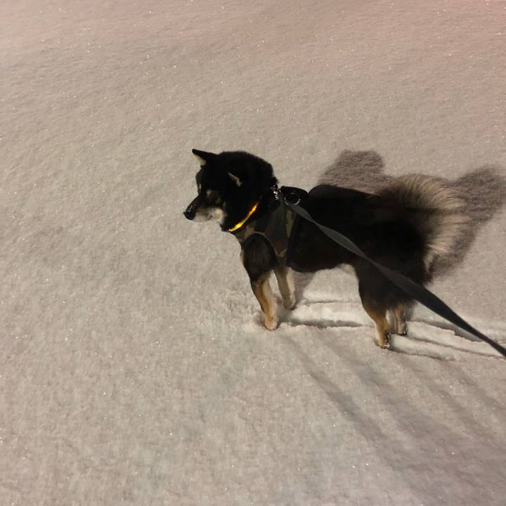 F23d4722 0c3b 4ff4 b660 74a563b17635 1544141658725