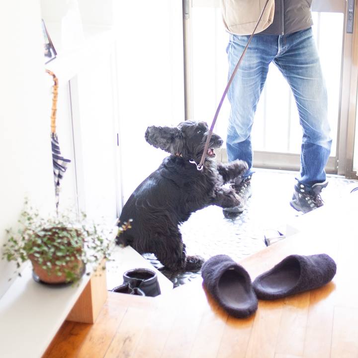 F23d48f7 d881 4f79 8acc d1c5c248d59e 1549725970806