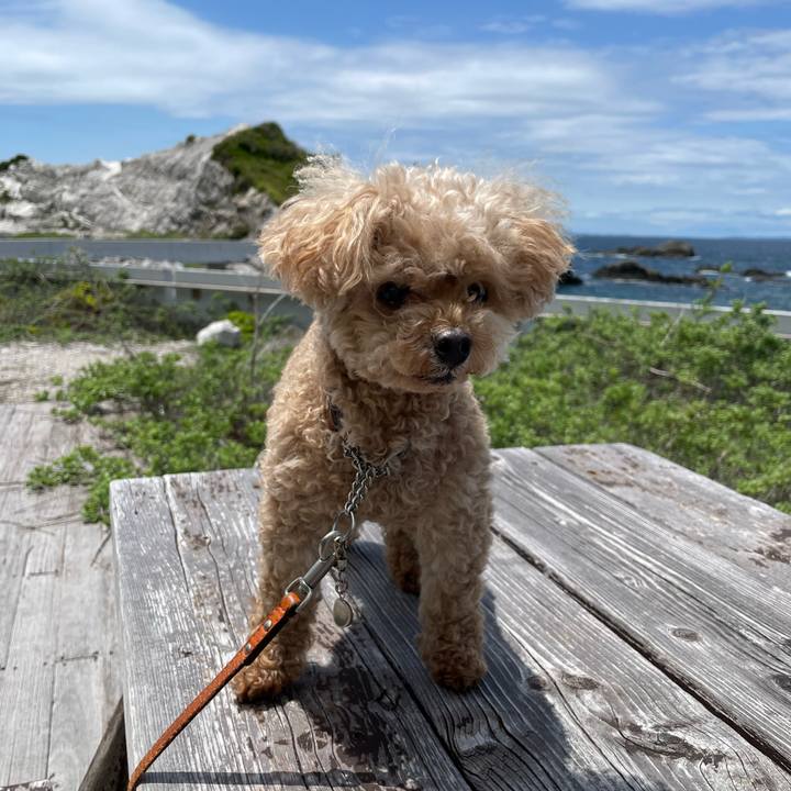 F23d4931 9824 4bb8 9beb 2faef9c9783a 1779449180295