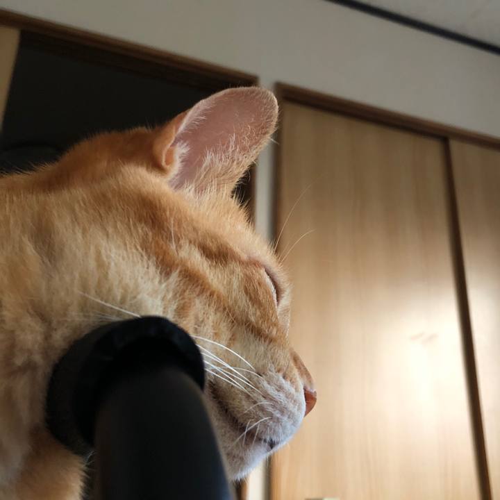 F23db194 7277 41df 8f84 4df14549efc2 1721677397672