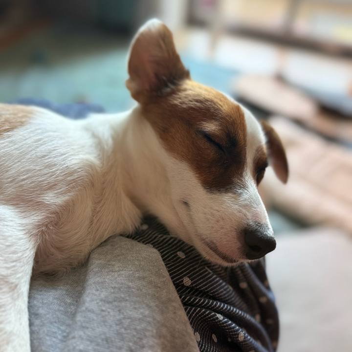 F23db79a 1240 4a7c b291 956759ffe969 1755929540910