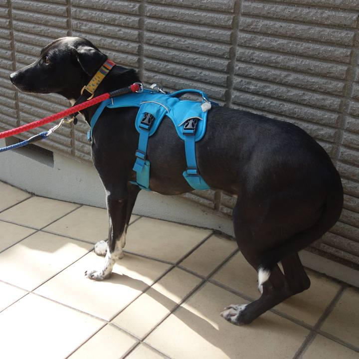 F23dbfe2 3808 4fe6 984d 9055619bd246 1607595558823