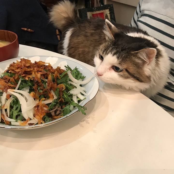 F23df7fe 6200 4612 8953 571ea83a72df 1523888526825