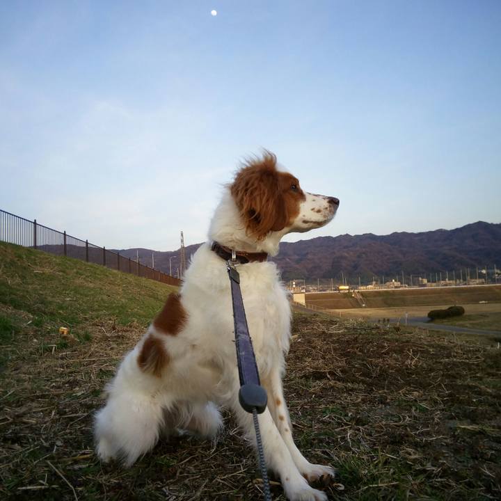 F23e0738 9254 4f3d 9c35 3ea4f414dc52 1519732710236