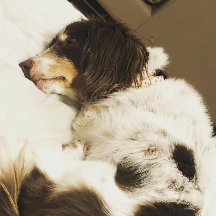 F23e1535 41d0 4b97 88dd 2d483a415f6f 1588778154888