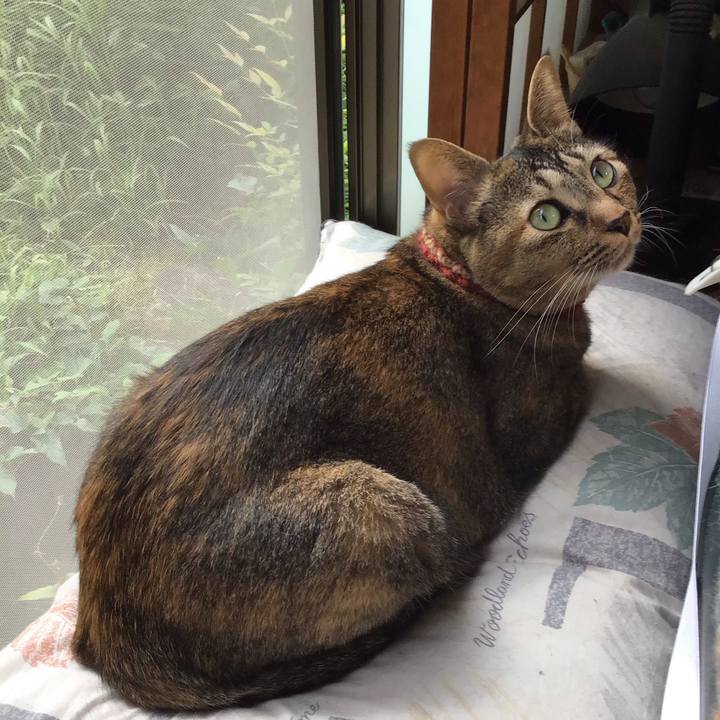 F23e36f9 26ef 4c4c a1d9 51ded49227bf 1630890844892