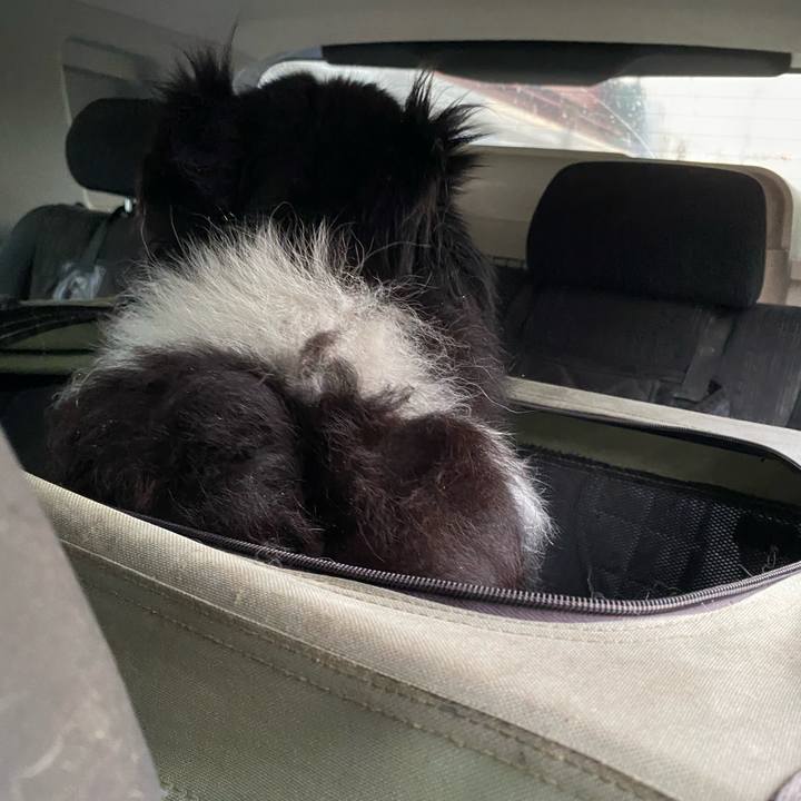 F23e3f51 e3c1 4b20 b7f1 091e7132088e 1694988216656