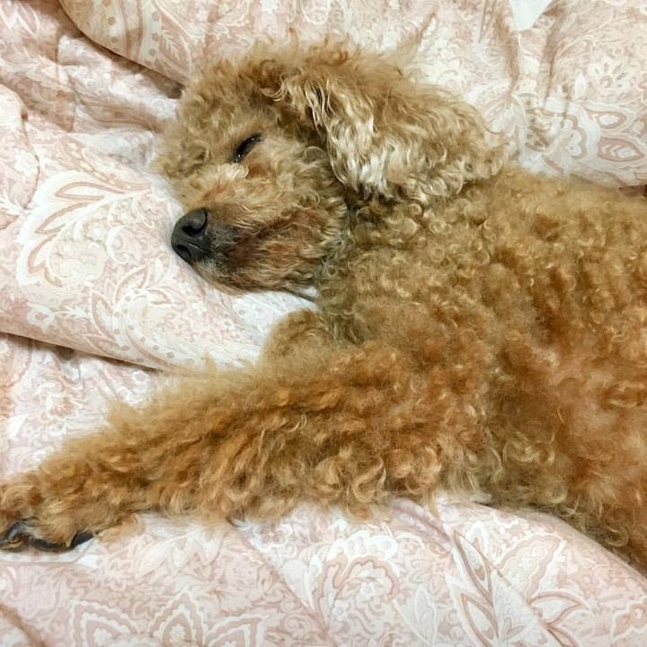 F23e473c 896f 4bf2 baea 9eef6b04c391 1561432765776