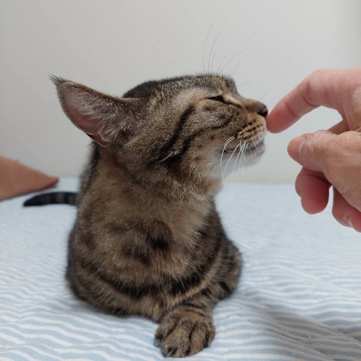 F23e5e09 e2ac 467a 8b23 d308e949e081 1631655567264