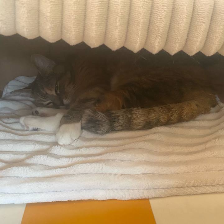 F23e6dab 221a 475d 8cce 33a7ced5ff2f 1716609788310