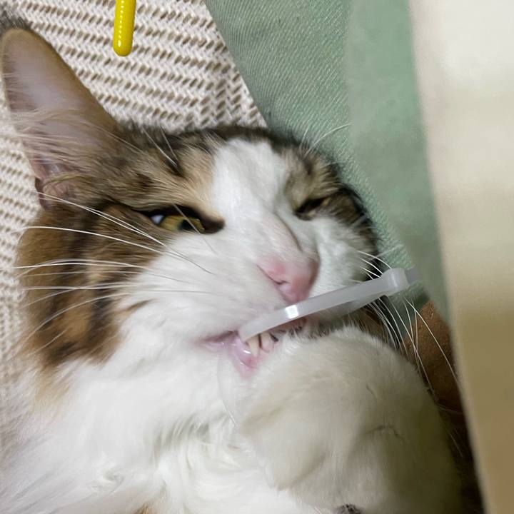 F23e7621 7fea 42e5 bfc2 e431af115356 1647432991346