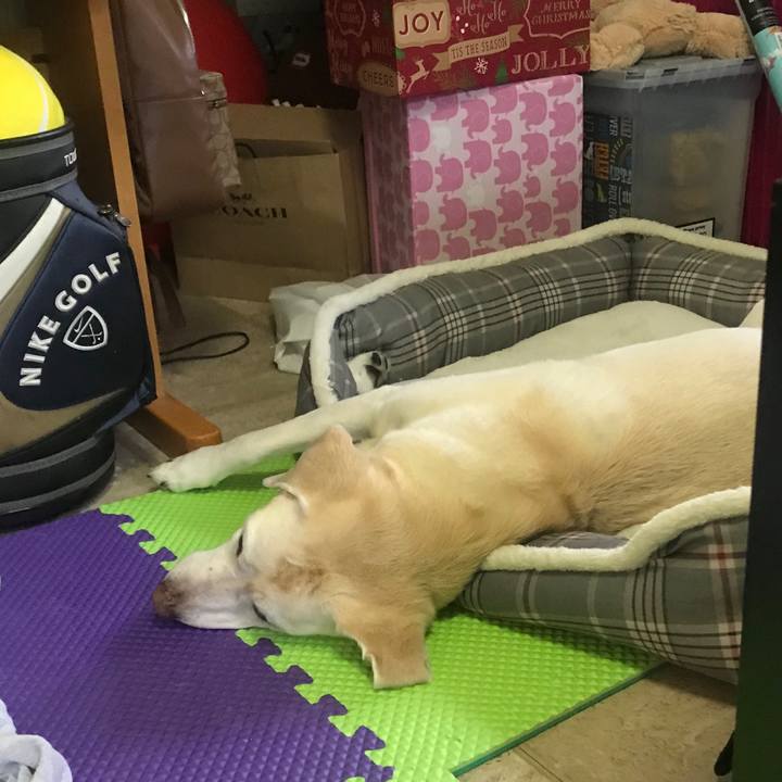 F23e8885 3111 438b bba1 2da900376ef3 1543910669691