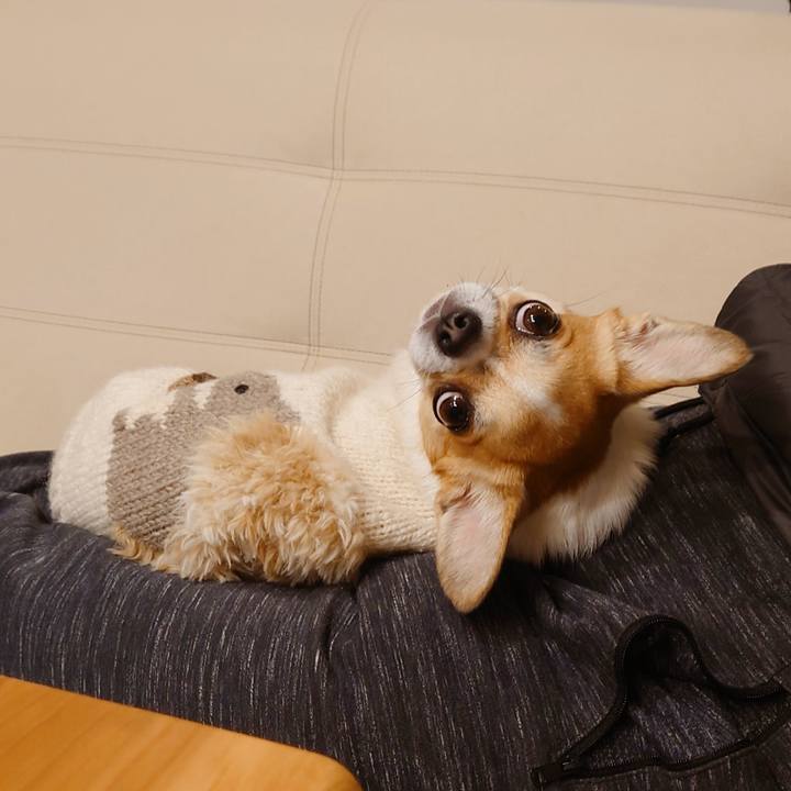 F23e912f d2c3 4b91 bae2 e8a67160a180 1642762159789