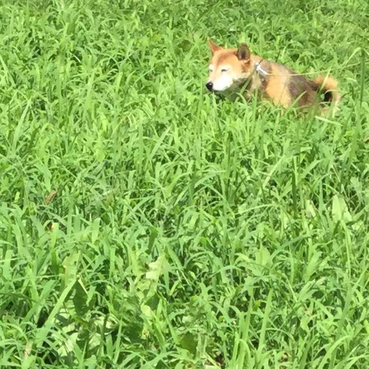 F23eafa9 a788 44d9 b7d6 bbc20cb87cbd 1629689687540