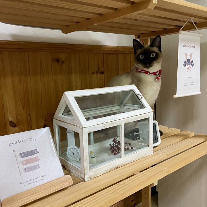 F23edded d10c 4c2a 90b5 53c01e05eaac 1710061100602