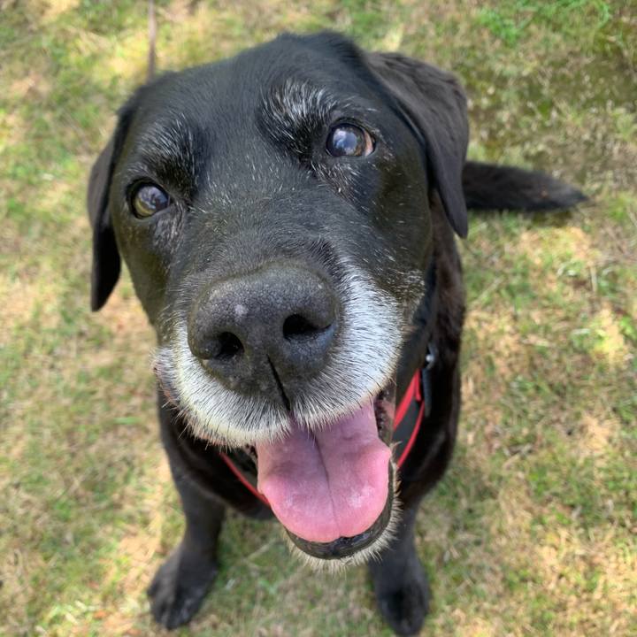 F23ef3a8 8803 43db a3c1 660fe895e1e8 1622271569406