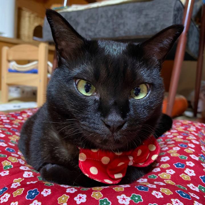 F23f0b9a bd17 4ad2 b97e 060b681b237e 1591000331933