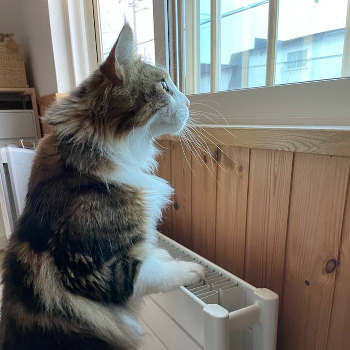 F23f539b 60e0 4398 bab4 abf4fe236880 1656186764409