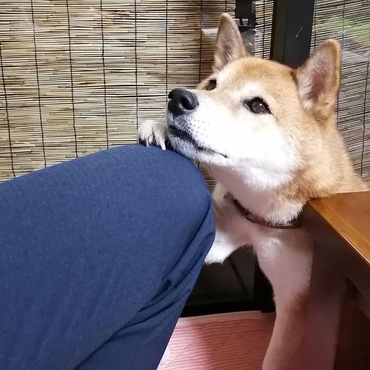 F23f6d84 34e2 483b 84ca 63b3aa6514ec 1692937227550