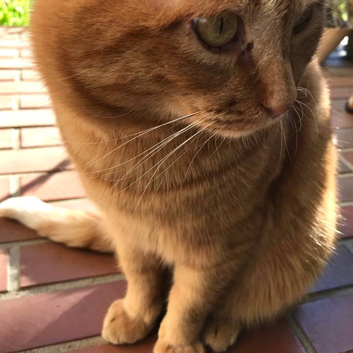 F23f8f00 3e4c 42a1 b17d ce6ace068f60 1610852664884