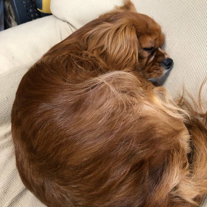 F23fb5ee e51f 4d29 866a f223e6f5ec4b 1547960619935