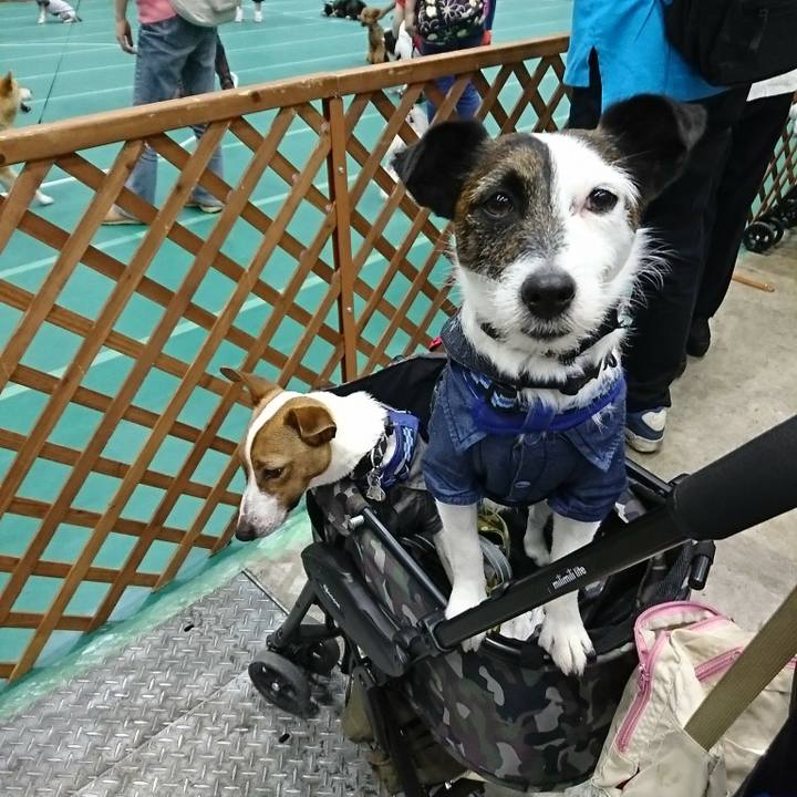 F23fc218 a8fa 4eee 92aa 6d797d1ef8f4 1525574410949