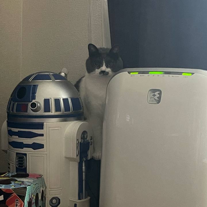 F23fce44 42de 435d 9426 fb4b93408ffe 1673667031714