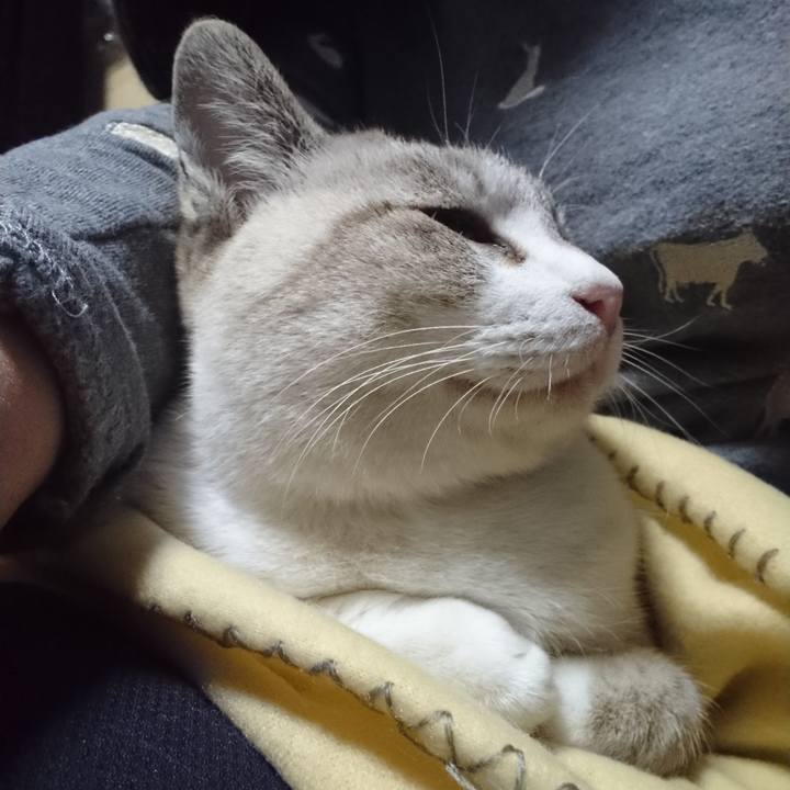 F23ff690 deab 42c1 8485 1ad7cbef9e1f 1546092864929