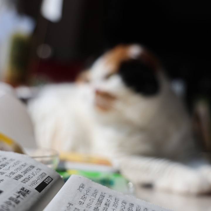 F2400037 e398 4608 bd16 a08b7cc0e4da 1687577840498