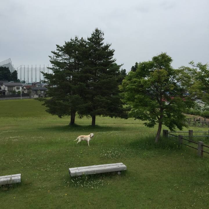 F2402c98 8160 4f93 9e27 5e1d7da856ea 1527657490997