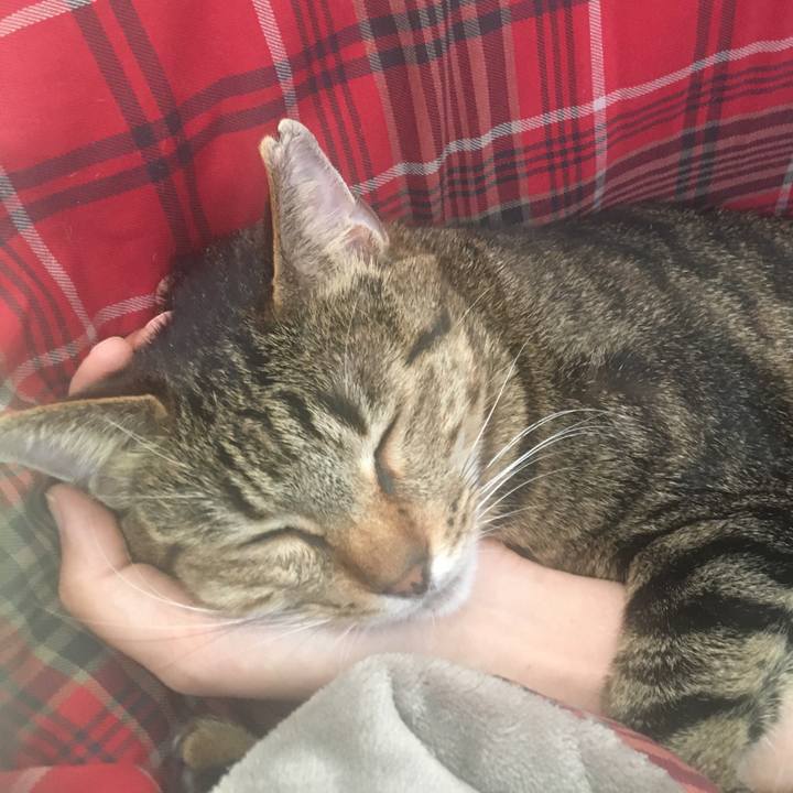 F24045a5 996a 42c5 8b14 1d8f4a58148b 1582278238463