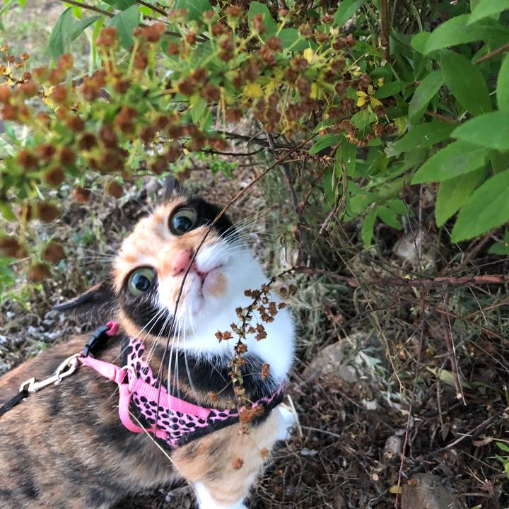 F240b490 7622 44a3 ac04 e4c1df63074f 1528378145250