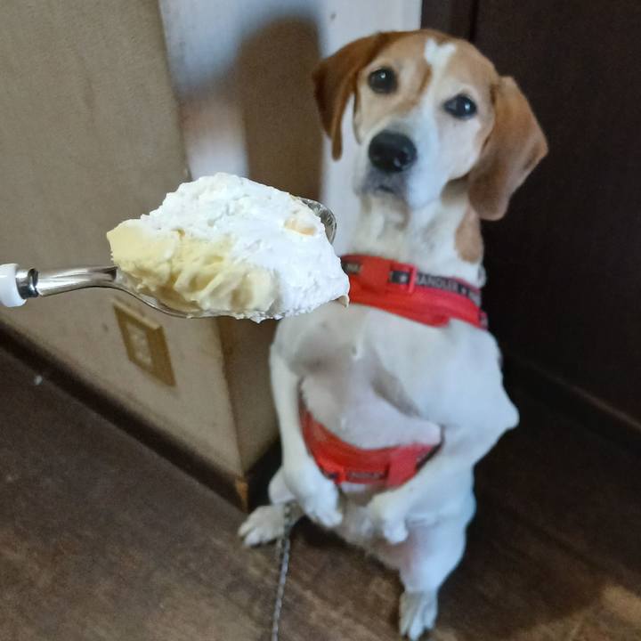 F240c82c 5b6a 4ed9 aaf2 9e2585ef506d 1763879577992