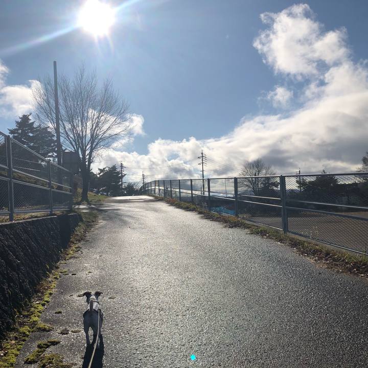 F240d818 bc43 46ba 8a96 a9a5d6cbbc2e 1574766331322