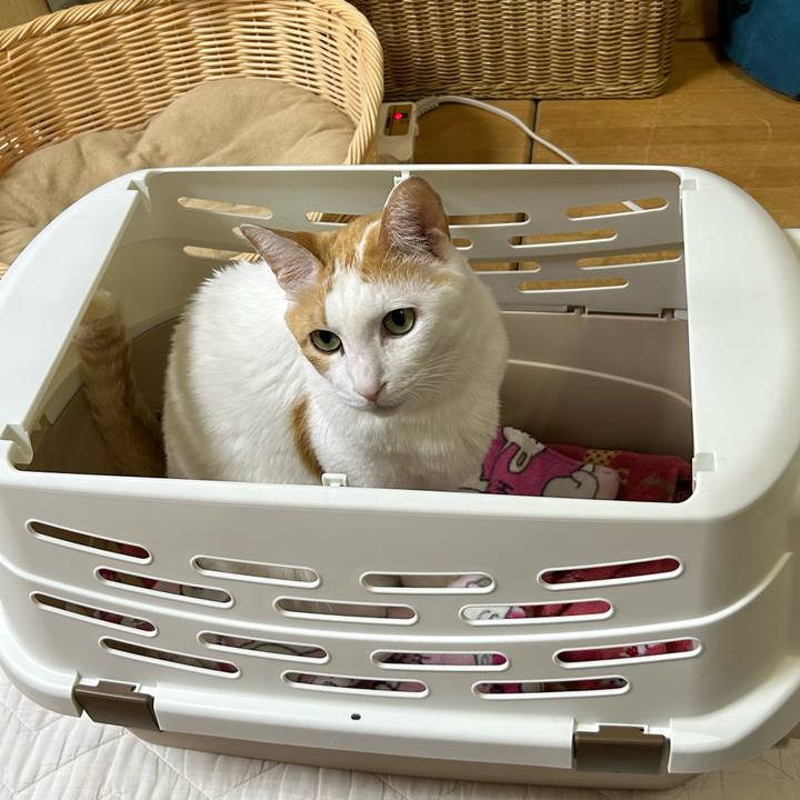 F24120df 8480 4458 9052 4fbb1a77aa1f 1676726805980