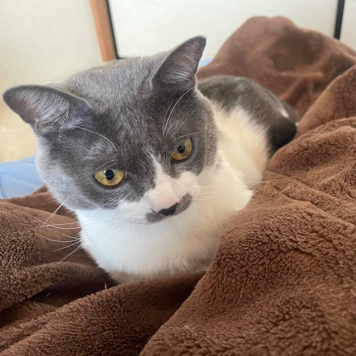 F2413dc2 e8cd 4a6d 9d9a 39c0ffb77f49 1634773221657