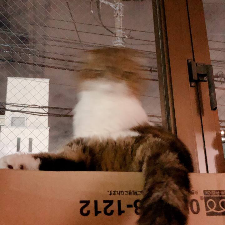 F2414289 c231 4ce0 85e3 1120ccb363c0 1572003599004