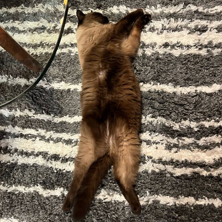 F241e70e 2e5b 48c6 8a01 1e75d8de89d1 1673057020479